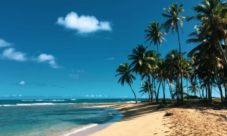 Untitled design - 2025-10-26T220411.816