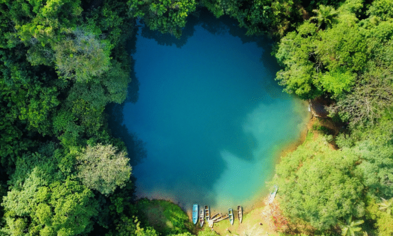 Untitled design - 2025-10-26T220424.537