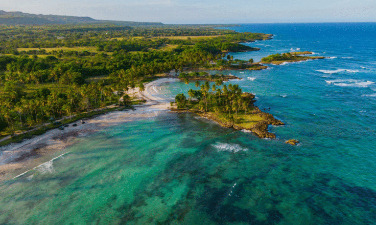 Untitled design - 2025-10-26T220434.696