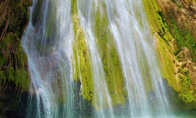 Untitled design - 2025-10-26T221651.312