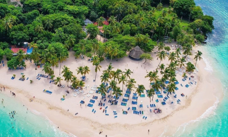 Untitled design - 2025-10-26T221756.886