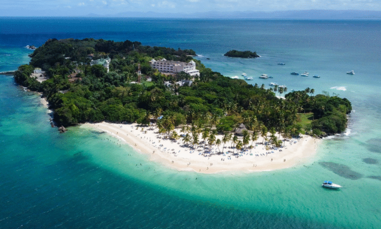 Untitled design - 2025-10-26T221814.034