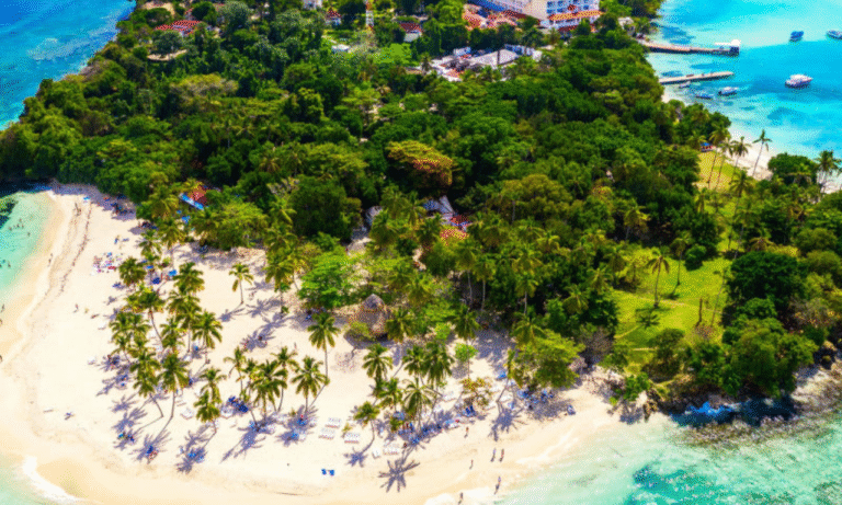 Untitled design - 2025-10-26T221823.647