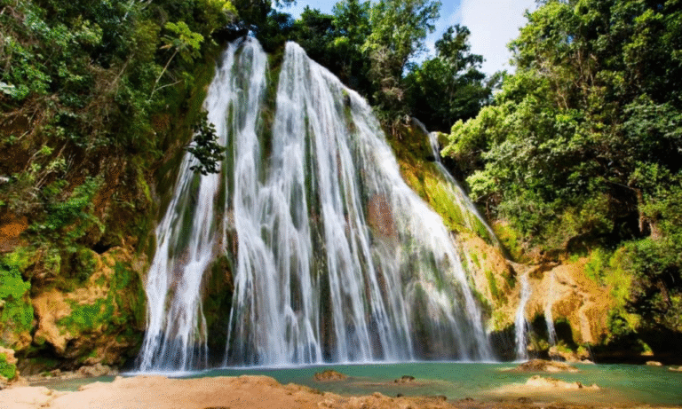 Untitled design - 2025-10-26T221833.725