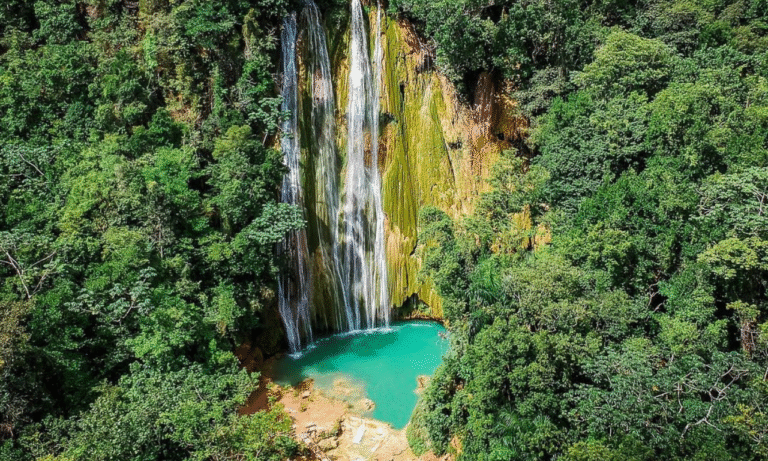 Untitled design - 2025-10-26T221843.956