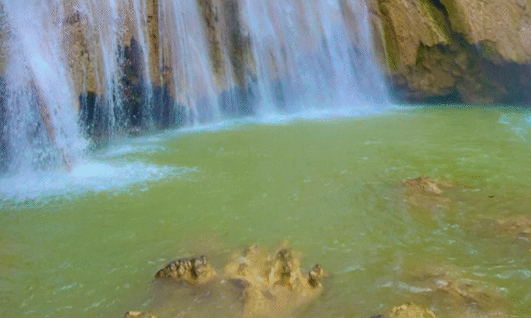 Untitled design - 2025-10-26T221911.940