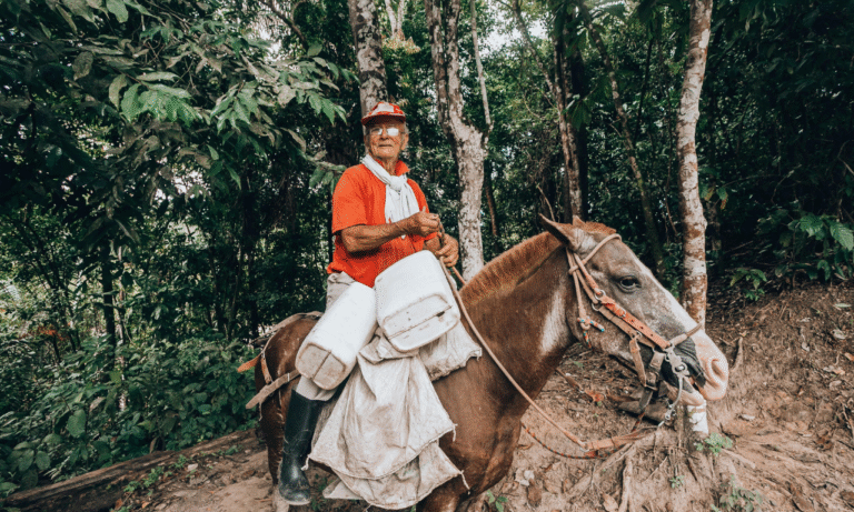 Untitled design - 2025-10-26T232150.281