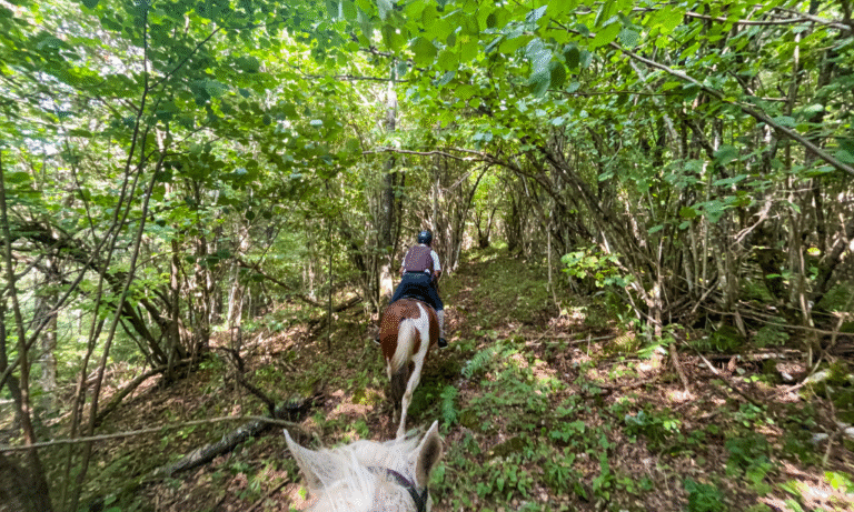 Untitled design - 2025-10-26T232220.133