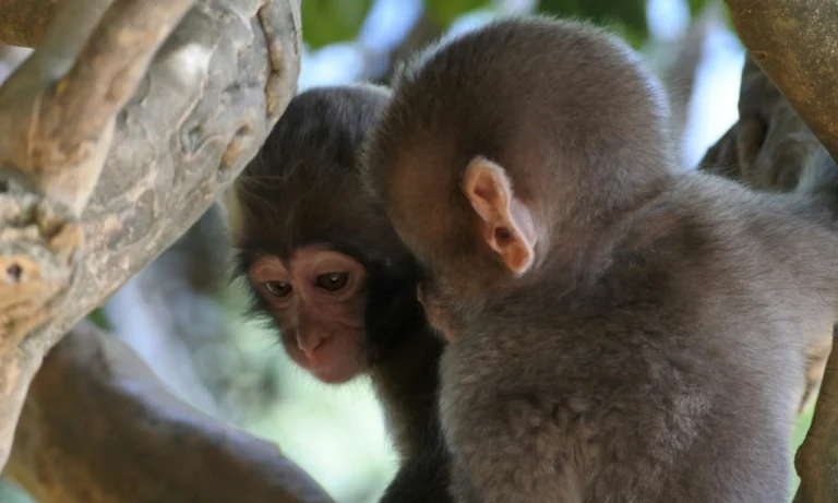 Untitled design - 2025-10-27T000609.890