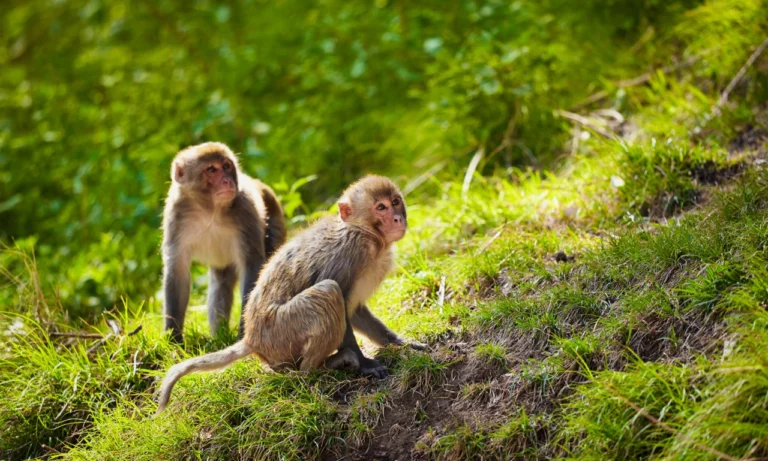 Untitled design - 2025-10-27T000621.352