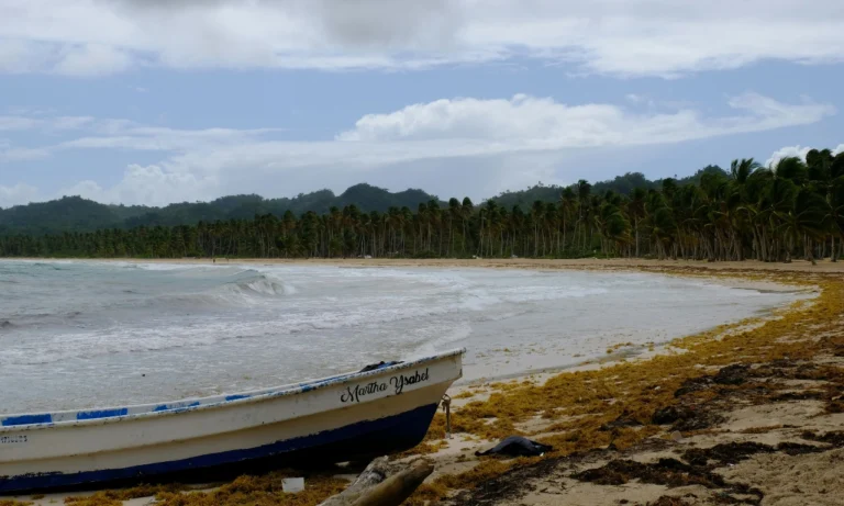 Untitled design - 2025-10-27T003652.197