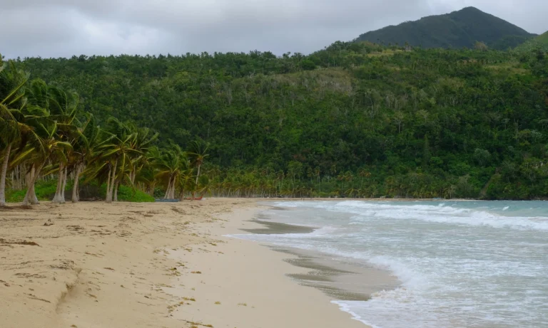 Untitled design - 2025-10-27T003712.782