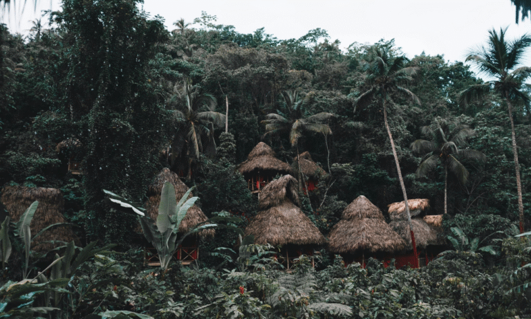 Untitled design - 2025-10-27T005142.040