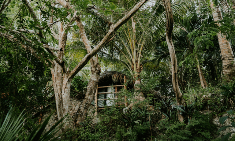 Untitled design - 2025-10-27T005153.570