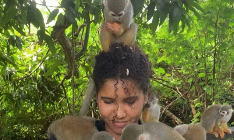 Untitled design - 2025-10-27T013744.561