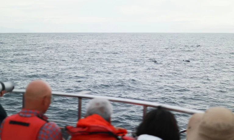 Untitled design - 2025-10-27T014454.349